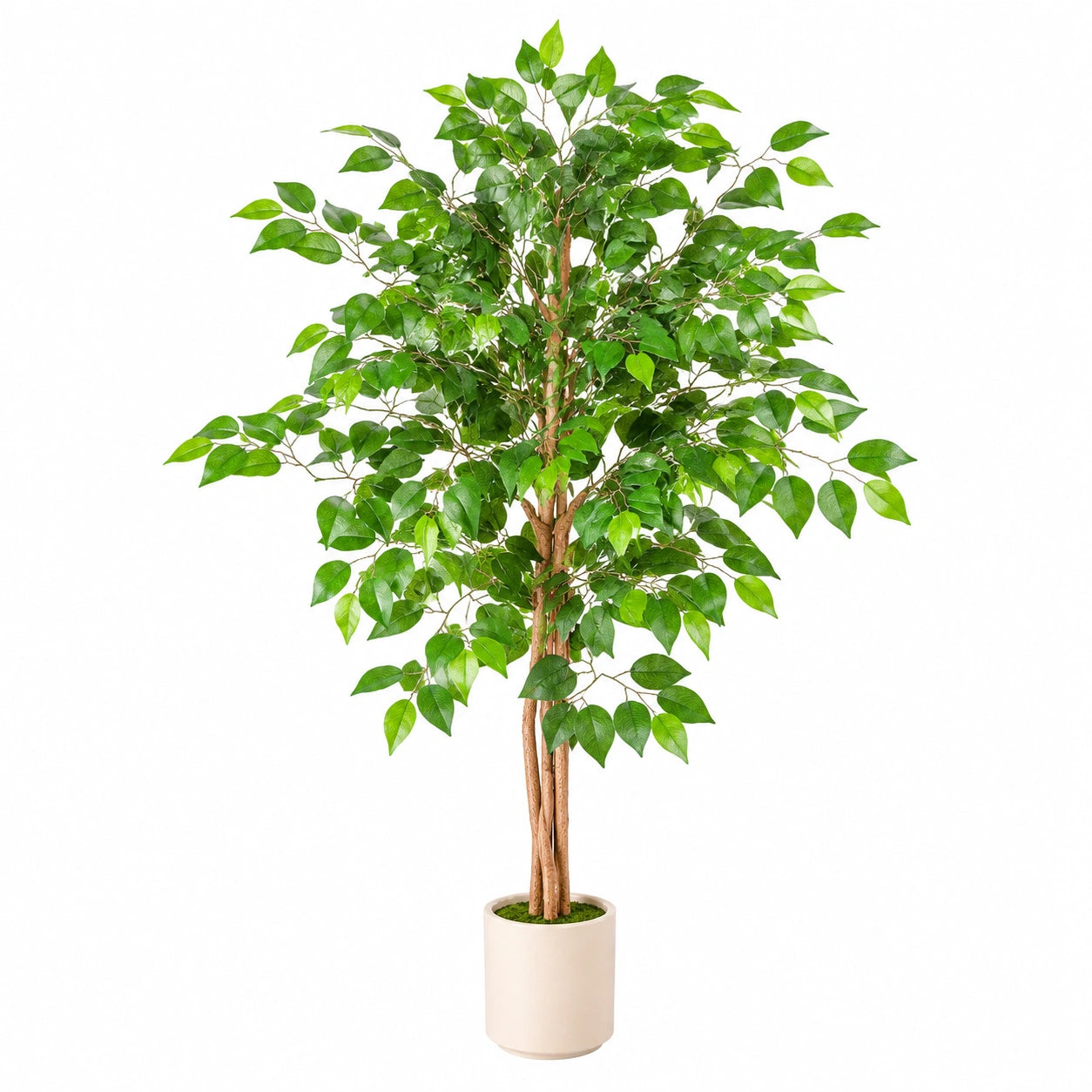 Kunstpflanze Ficus Baum 180cm Grün im Keramiktopf