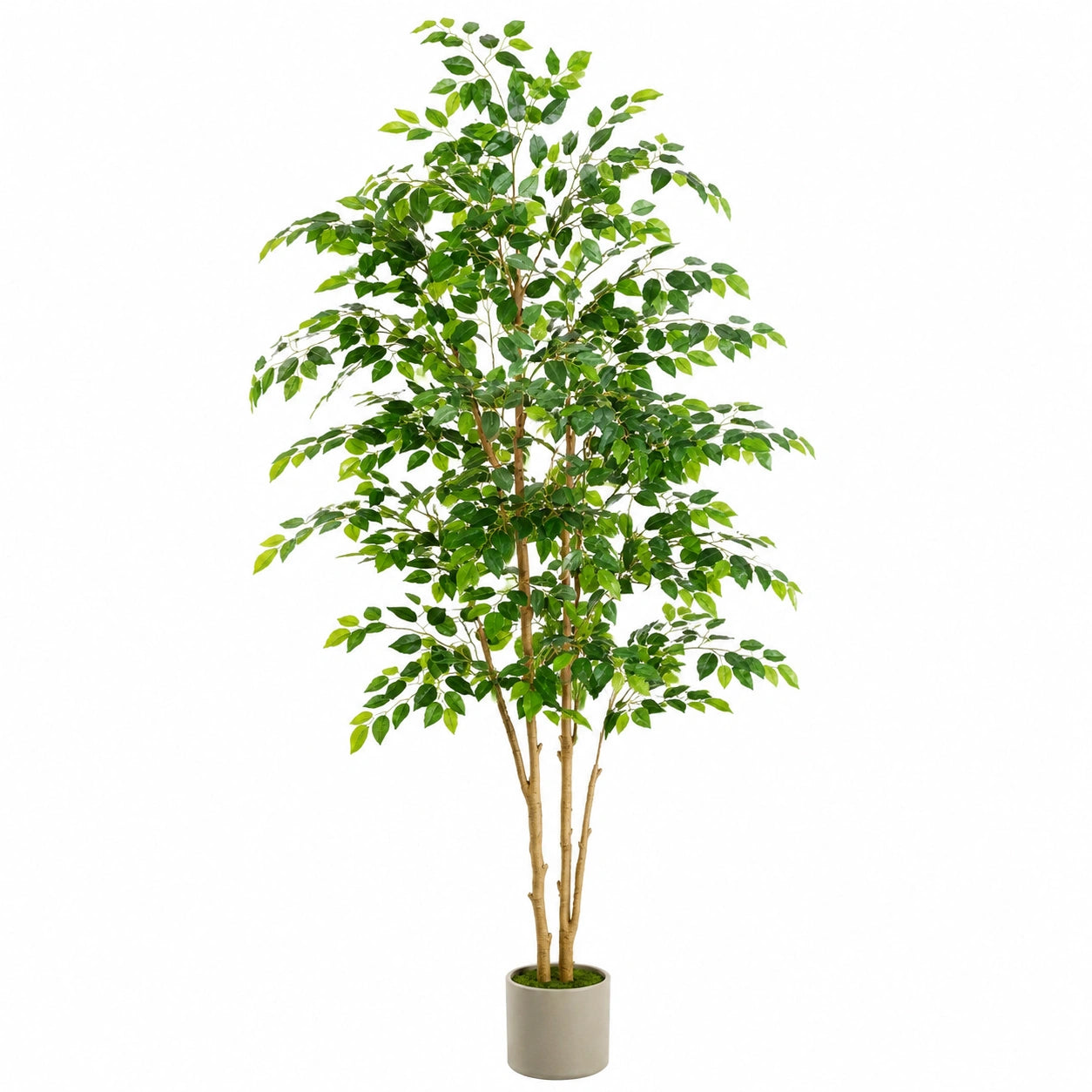 Kunstpflanze Ficus Baum Grün 180cm mit Topf